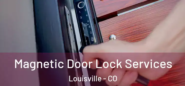  Magnetic Door Lock Services Louisville - CO